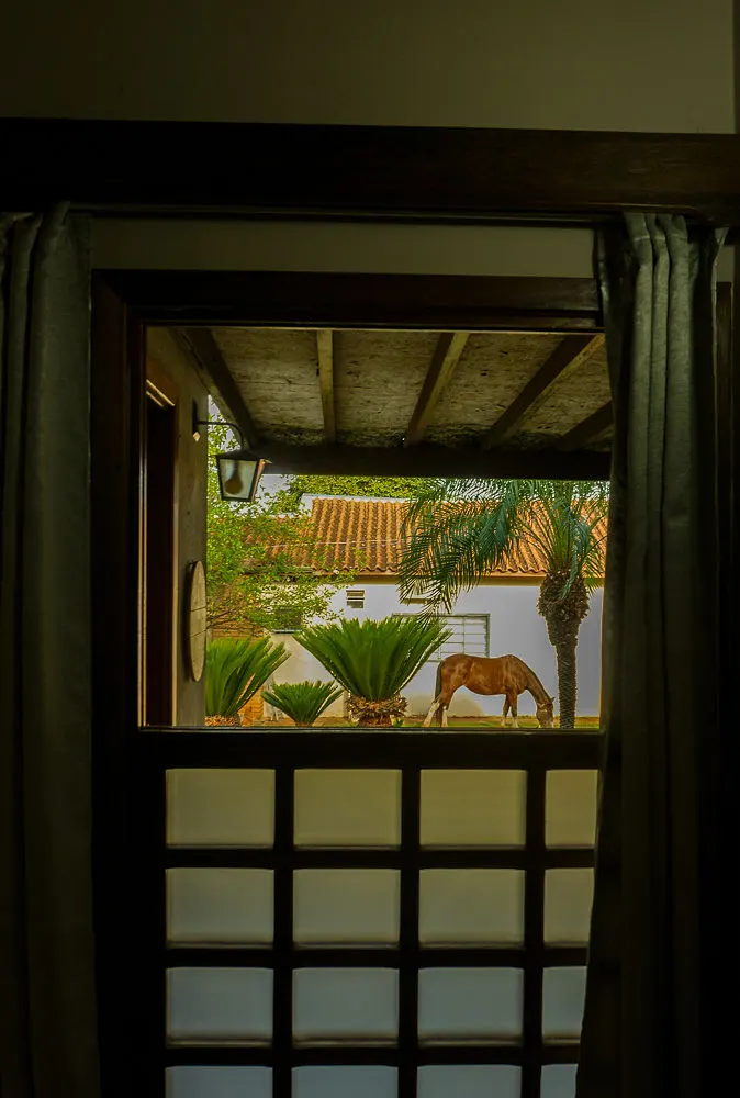 Janela do chalé com vista para um cavalo pastando no jardim