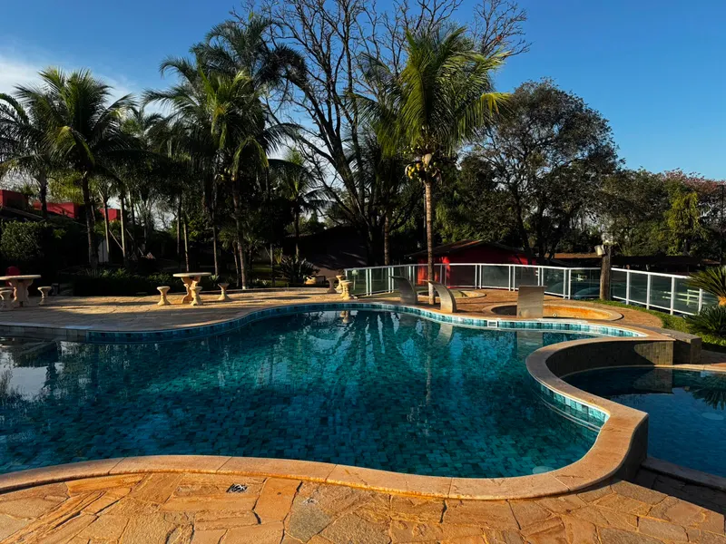 Piscina do hotel cercada de palmeiras sob céu azul